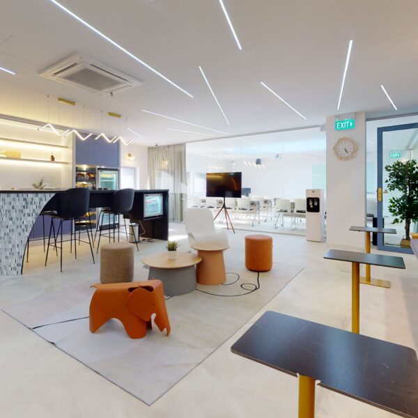 Next Gallery